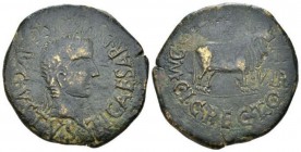 Hispania, Calagurris Tiberius, 14-37 As circa 14-37, Æ 30.5mm., 13.68g. Laureate head r. Rev. Bull r. RPC 450.
 
 Green patina, Very Fine.