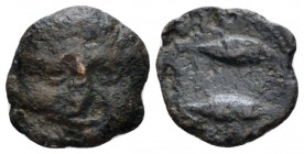 Hispania, Gadir Quarter unit circa 235-200, Æ 12.3mm., 1.16g. Facing head of Helios Rev. Two tunnies swimming right. ACIP 644. SNG BM Spain 143.

Ab...