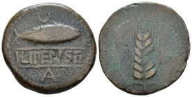 Hispania, Ilipa As II cent, Æ 30.3mm., 14.62g. Fish r. Rev. Ear of barley. CNH 2. MH 423.

Nice brown tone, About Very Fine.