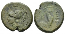 Campania, Cales Bronze circa 265-260, Æ 20mm., 6.23g. Campania, Cales. Bronze circa 265-260, Æ 20mm., 6.23g. Head of Athena l., wearing Corinthian hel...