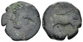 Campania, Compulteria Bronze circa 265-240, Æ 19mm., 3.83g. Laureate head of Apollo l. Rev. Man-headed bull standing r., head facing. SNG ANS 230. His...