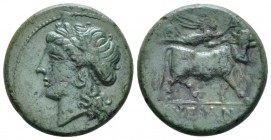 Campania, Suessa Bronze circa 265-240, Æ 20mm., 5.93g. Laureate head of Apollo l. Rev. Man-faced bull advancing r.; above, flying Nike r, holding wrea...