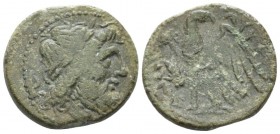 Lucania, The Lucani Unit circa 207-20, Æ 22mm., 5.78g. Laureate head of Zeus r.; in l. field, spearhead. Rev. Eagle l.; in l. field, head of wolf. SNG...