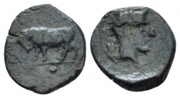 Sicily, Gela Uncia circa 420-405, Æ 12mm., 1.03g. Bull standing l. Rev. Head of river-god Gelas r.; grain-ear behind. Jenkins, Gela 500. SNG ANS 108....