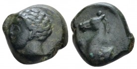 Sicily, Panormus as Ziz Bronze Circa 336-330, Æ 15mm., 3.46g. Male head l. Rev. Forepart of horse l. Calciati 13/2.

Nice green patina, Very Fine.
...