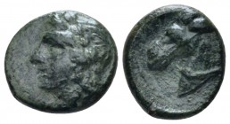 Sicily, Tyndaris Bronze 276-253, Æ 13.5mm., 2.01g. Laureate head of Apollo l. Rev. Head of horse l.. Calciati 3. SNG München 1580.

Rare. Green pati...