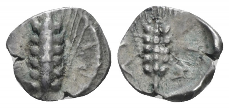 Lucania, Metapontum Obol circa 440-430, AR 8.00 mm., 0.50 g.
Ear of barley. Rev...