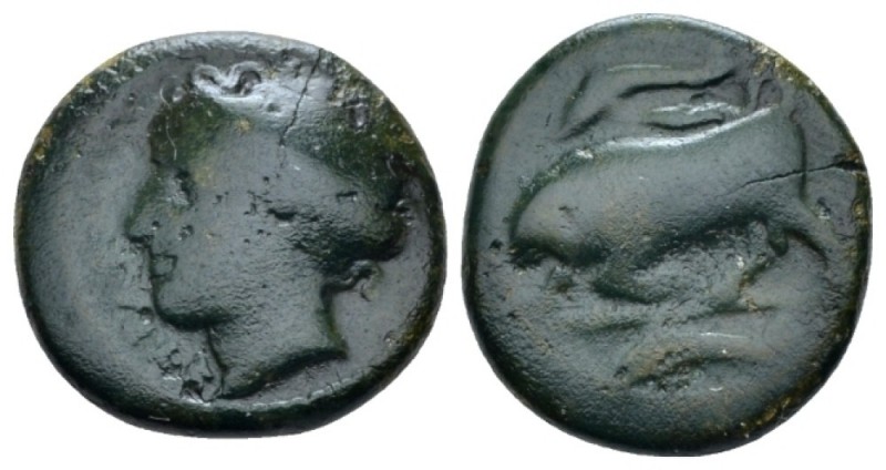 Sicily, Syracuse Bronze circa 317-310, Æ 16.00 mm., 4.24 g.
Head of Arethusa l....