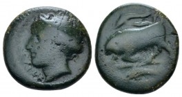 Sicily, Syracuse Bronze circa 317-310, Æ 16.00 mm., 4.24 g.
Head of Arethusa l. Rev. Bull butting l.; above and in exergue, dolphin l. Calciati 98. B...