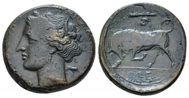 Sicily, Syracuse Bronze circa 275-216, Æ 20.00 mm., 6.68 g.
Wreathed of Kore l....