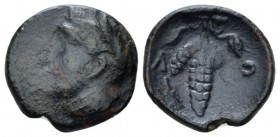 Locri Opuntii, Lokris Opuntii Bronze IV cent., Æ 14.00 mm., 2.43 g.
Helmeted head of Athena r. Rev. Bunch of grapes. Corpus 1. BCD Lokris-Phokis 465....