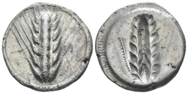 Lucania, Metapontum Nomos circa 540-520, AR 23.80 mm., 7.82 g.
Barley ear. Rev....