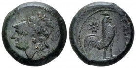 Campania , Cales Bronze circa 265-260, Æ 19.30 mm., 7.05 g.
Head of Athena l., wearing Corinthian helmet. Rev. Cock standing r.; in l. field, star. S...