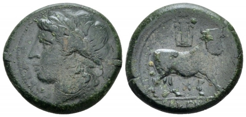 Campania , Cales Bronze circa 265-240, Æ 21.40 mm., 6.81 g.
Laureate head of Ap...