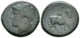 Campania , Cales Bronze circa 265-240, Æ 21.40 mm., 6.81 g.
Laureate head of Apollo l. Rev. Man-headed bull standing r., head facing; above, lyre and...