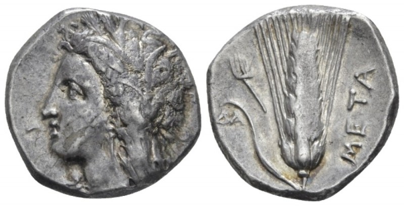 Lucania, Metapontum Nomos circa 330-290, AR 20.30 mm., 7.89 g.
 Wreathed head o...