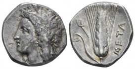 Lucania, Metapontum Nomos circa 330-290, AR 20.30 mm., 7.89 g.
 Wreathed head of Demeter l. Rev. Barley-ear; in l. field, fork. Johnston Class C, 5.1...