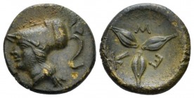 Lucania, Metapontum Bronze First quarter III to mid III century BC, Æ 14.30 mm., 2.33 g.
Head of Athena l., wearing Corinthian helmet. Rev. Three gra...