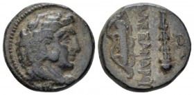 Kingdom of Macedon, 4 - Alexander III, 336 – 323 and posthumous issue Uncertain mint Unit circa 336-323, Æ 17.20 mm., 5.62 g.
 Head of Heracles r., w...