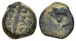 Judaea, John Hyrcanus I, 128–104 BC Jerusalem Half prutah 128–104 BC, Æ 4.10 mm., 1.03 g.
Palm branch upright flanked by two lines of paleo-Hebrew. R...