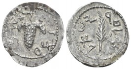 Judaea, Bar Kokhba Revolt. Zuz (denarius) circa 133-134 AD., AR 18.50 mm., 3.30 g.
Grape bunch on vine. Rev. Palm frond. Mildenberg 40. Meshorer 248....