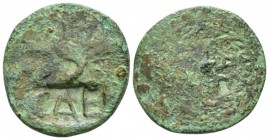 Moesia, Pannonia As I century AD, Æ 23.40 mm., 6.26 g.
CAE qithin rectangular countermark. Pangerl 77.

Very fine