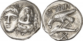 (340-313 a.C.). Tracia. Istros. Estátera. (S. 1669 var) (CNG. III, 1801). 5,40 g. EBC-.