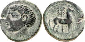 Cartagonova (Cartagena). Calco. (FAB. 552) (ACIP. 609). Pátina verde. 11,55 g. MBC.