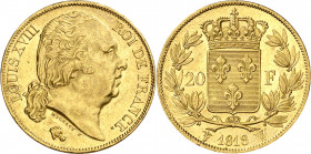 Francia. 1818. Luis XVIII. W (Lille). 20 francos. (Fr. 539) (Kr. 712.9). Leves golpecitos. AU. 6,48 g. EBC-/EBC.