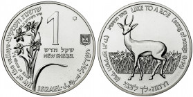 Israel. JE 5753 / 1992. 1 nuevo shekel. (Kr. 231). Conservación de la Naturaleza. En carterita oficial con certificado. AG. 14,40 g. S/C.