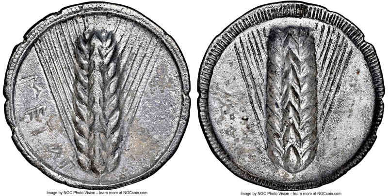 LUCANIA. Metapontum. Ca. 540-510 BC. AR stater (28mm, 6.89 gm, 12h). NGC Choice ...