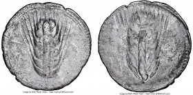 LUCANIA. Metapontum. Ca. 540-510 BC. AR stater (29mm, 7.13 gm, 12h). NGC (photo-certificate) VF 5/5 - 1/5. MET, barley ear of seven grains; guilloche ...