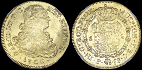 COLOMBIA: 8 Escudos (1800 P JF) in gold (0,875) with uniformed bust of Charles IV facing right. Crowned arms within Order chain. Inside slab by NGC "A...