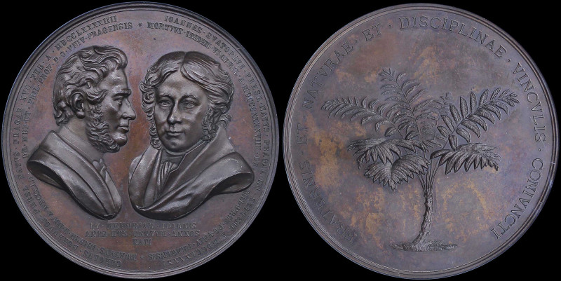 CZECHOSLOVAKIA: Bronze medal (1891). Busts of Svatopluk & Bornzwoj on obverse. A...