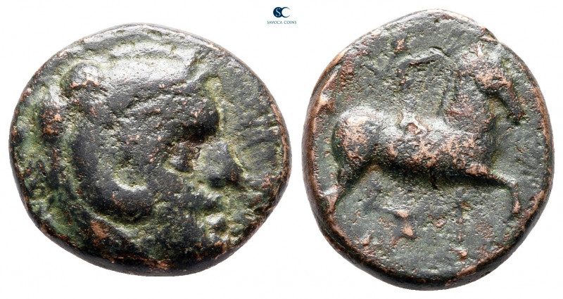 Kings of Macedon. Uncertain mint. Antigonos II Gonatas 277-239 BC. 
Bronze Æ
...