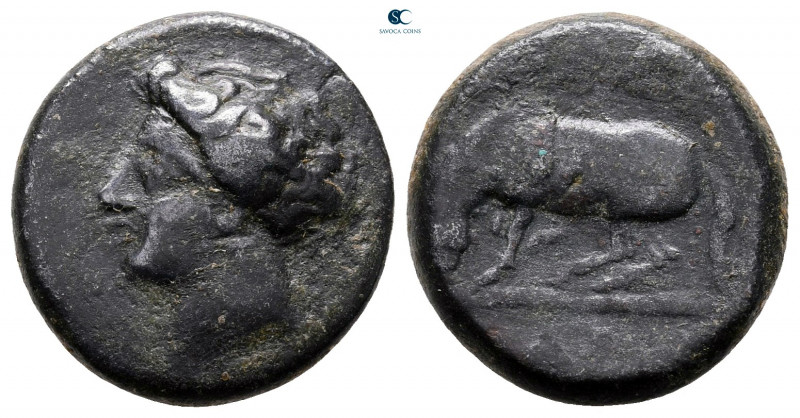 Thessaly. Larissa circa 400-350 BC. 
Bronze Æ

18 mm, 4,44 g



nearly ve...