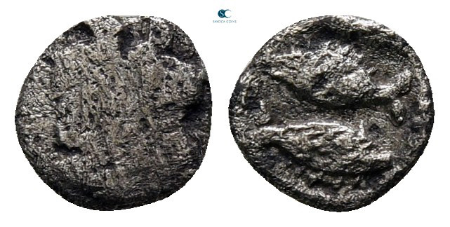 Mysia. Kyzikos circa 460-440 BC. 
Tetartemorion AR

6 mm, 0,20 g



fine