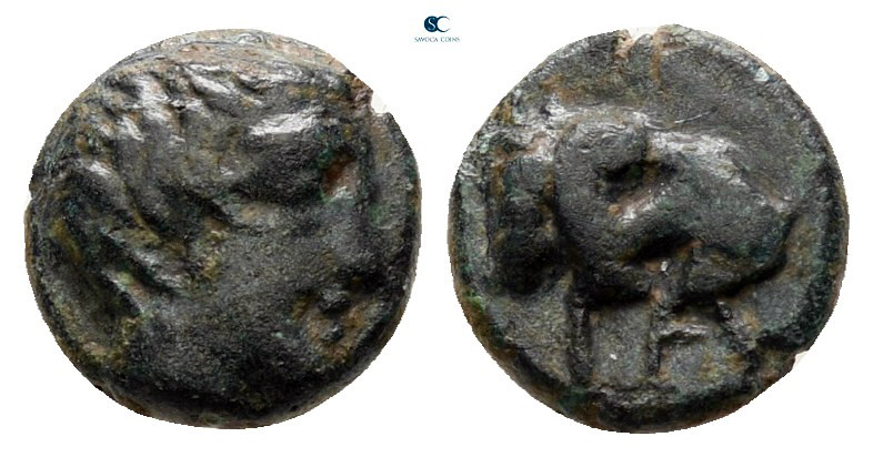 Troas. Gargara circa 400-300 BC. 
Bronze Æ

8 mm, 0,65 g



very fine