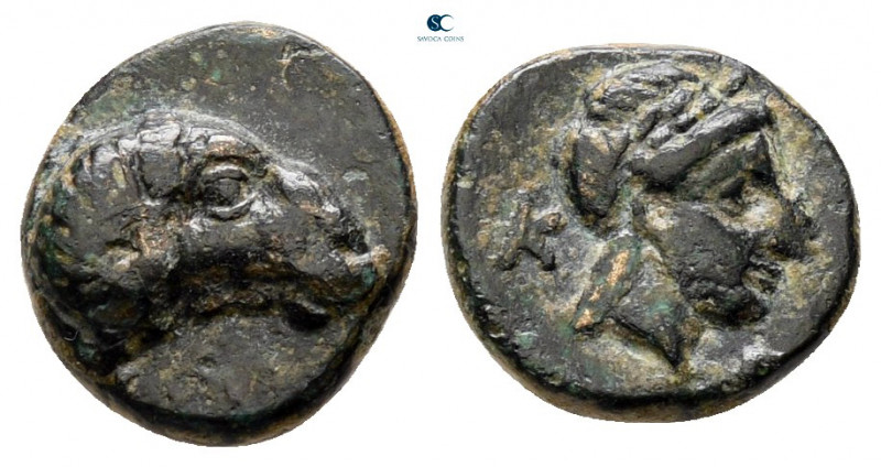 Troas. Kebren circa 387-310 BC. 
Bronze Æ

10 mm, 0,95 g



very fine