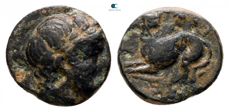 Lesbos. Nesos circa 300-200 BC. 
Bronze Æ

9 mm, 0,61 g



very fine