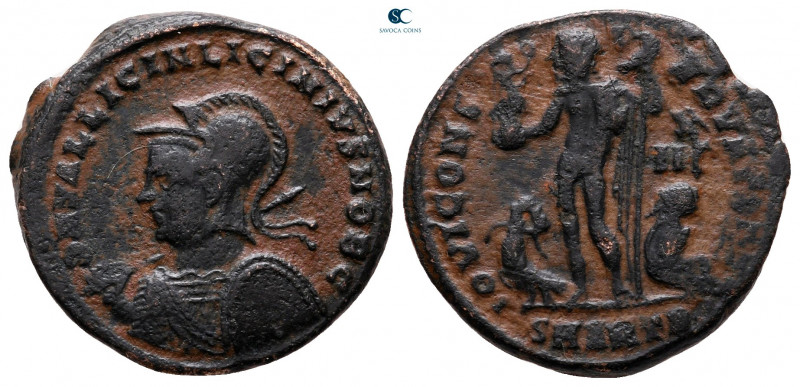 Licinius II, as Caesar AD 317-324. Antioch
Follis Æ

20 mm, 3,55 g



nea...