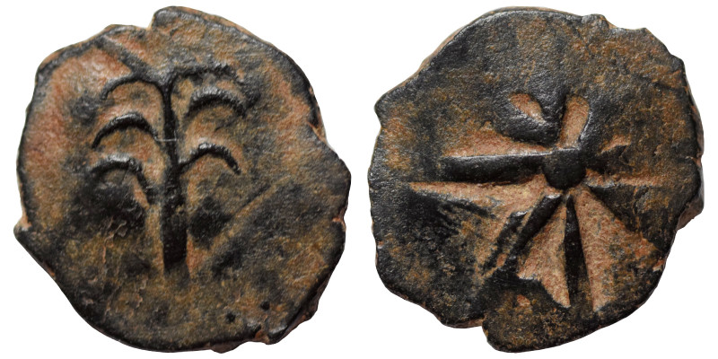 GREEK (?). Uncertain. Ae (bronze, 0.66 g, 12 mm). Palm tree (?). Rev. Star. Very...