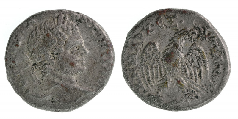 Caracalla - Antiochea - Tetradrchme - 214-215 - 11.71g - EF - Prieur 219