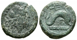 APULIA, Luceria. Teruncius. (Ae. 8,59g/21mm). 211-200 a.C. (HN Italy 680). Anv: Cabeza diademada de Neptuno a derecha, detrás cuatro puntos. Rev: Delf...