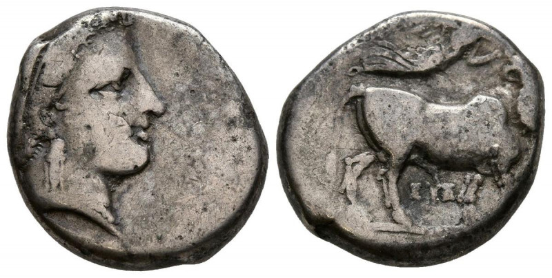 CAMPANIA, Neapolis. Didracma. (Ar. 7,13g/19mm). 300 a.C. (HN Italy 577). Anv: Ca...