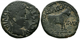 CELSE (Velilla de Ebro, Zaragoza). As (Ae. 13,39g/31mm). 27 a.C-14 d.C. (FAB-809). Anv: Cabeza laureada de Augusto a derecha, alrededor leyenda: AVGVS...