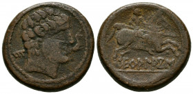 ECUALACOS (Zona de Soria-Guadalajara). As. (Ae. 12,95g/25mm). 120-20 a.C. (FAB-969). Anv: Cabeza masculina a derecha, delante delfín, detrás letra ibé...