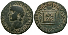 ILICI (Elche, Alicante). As. (Ae. 12,22g/29mm). 14-36 d.C. (FAB-1522). Anv: Cabeza de Tiberio a izquierda, alrededor leyenda: TI CAESAR DIVI AVG F AVG...