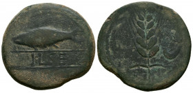 ILSE (Alcalá del Río, Sevilla). As. (Ae. 18,39g/31mm). 120-20 a.C. (FAB-1551). Anv: Sábalo a izquierda, debajo leyenda entre dos líneas: ILSE, debajo ...