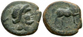 SACILI (Pedro Abad, Córdoba). As. (Ae. 10,75g/24mm). 120-50 a.C. (FAB-2020). Anv: Cabeza masculina a derecha, detrás leyenda: SACILI. Rev: Caballo al ...